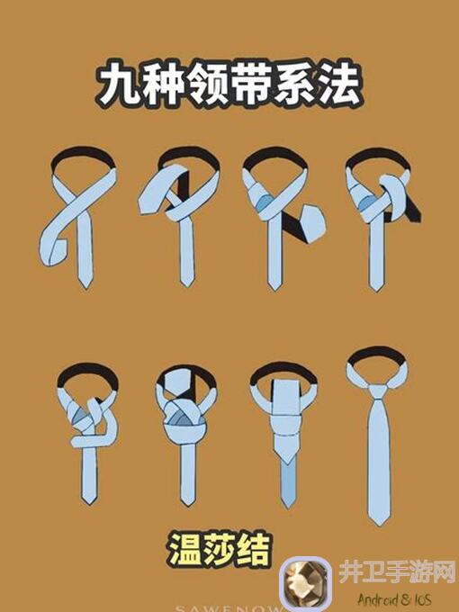 如何了解金铲铲之战2.23B版本的铲巅阵容排行？超级璐璐强势崛起，你学会3个关键搭配技巧了吗？