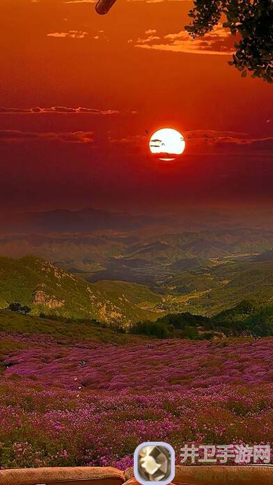 绝区零毛茸茸通关秘籍，轻松应对各种麻烦!